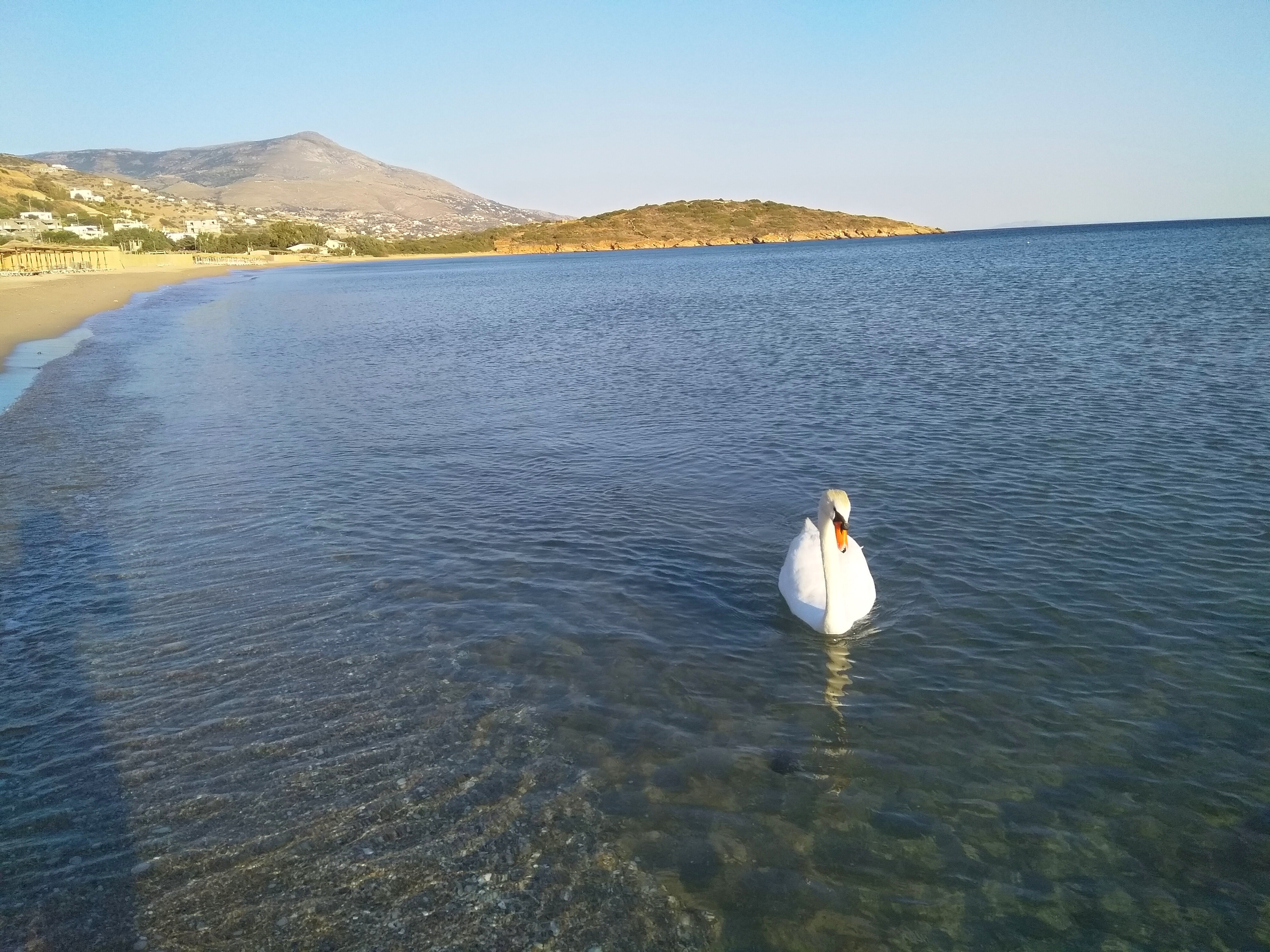 Agios Petros Beach